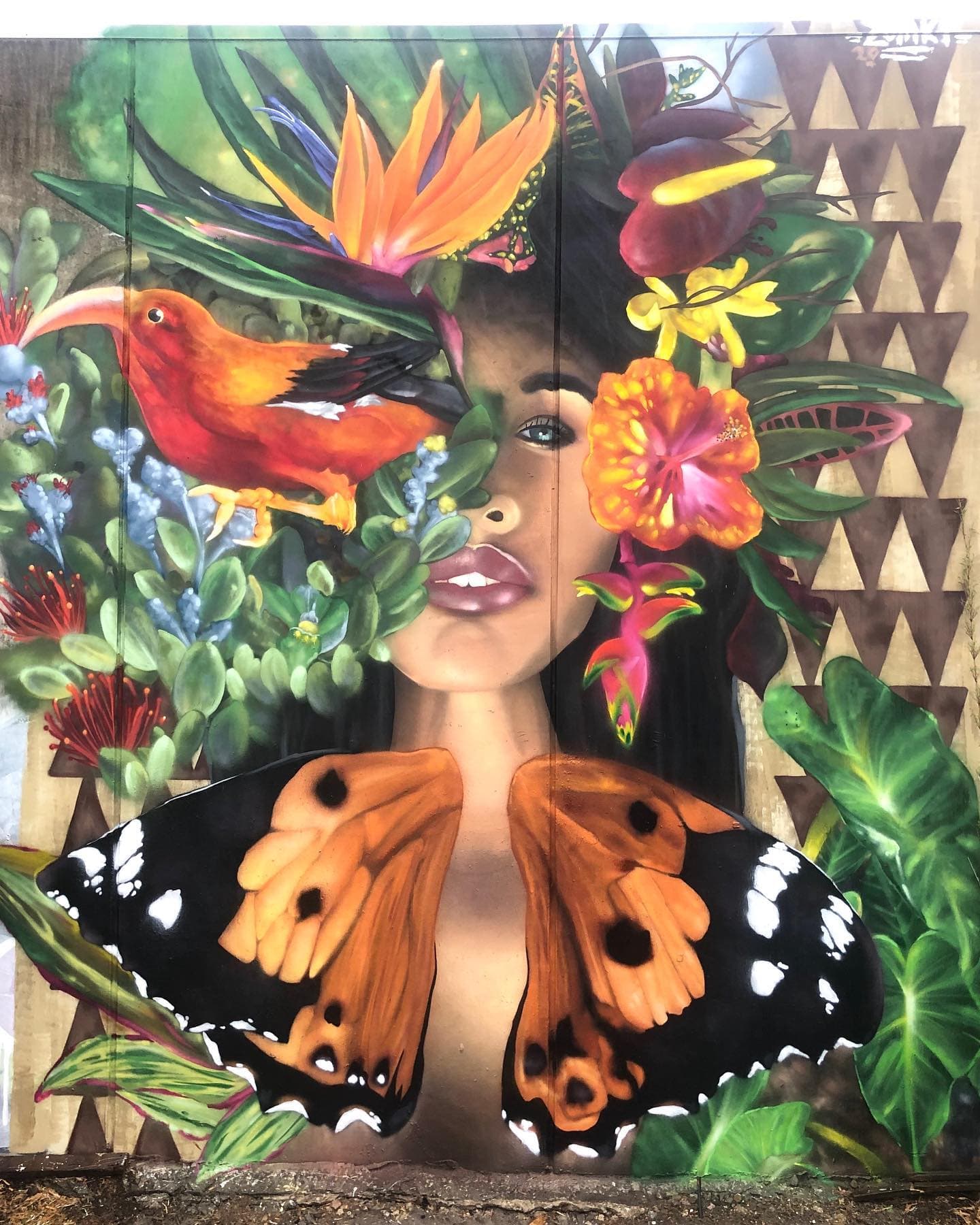 Dedicated To Hawaii